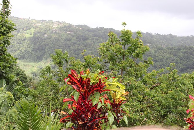 Discovery Day 4x4 Ride - Northern Circuit of Martinique - Accessibility and Participation