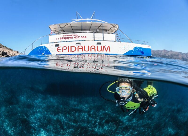 Discovery Dive - 2 Hour Uncertified Diver Introductory Dive - Good To Know