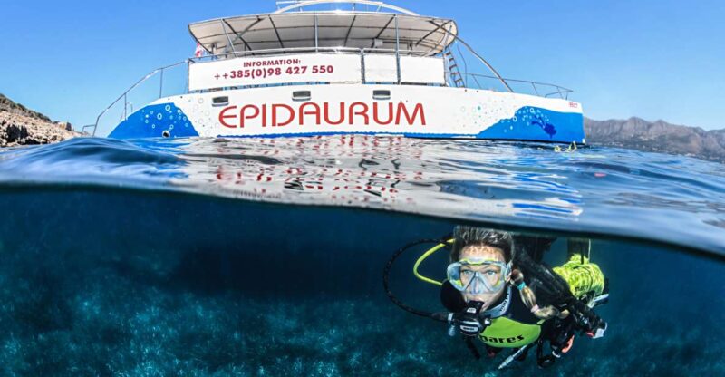 Discovery Dive - 2 Hour Uncertified Diver Introductory Dive - Booking Information
