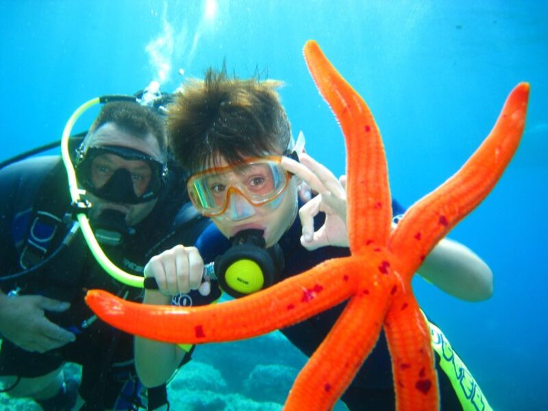 Discovery Dive - 2 Hour Uncertified Diver Introductory Dive - Explore the Adriatic Sea