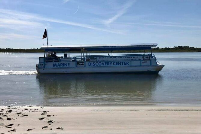Discovery Dolphin Boat Tour - Key Points