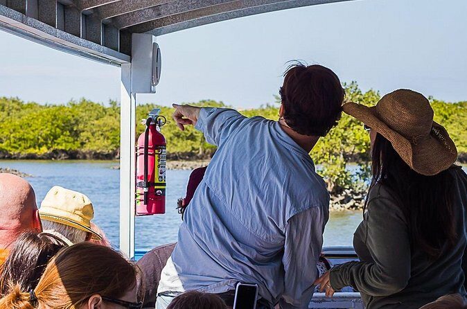 Discovery Dolphin Boat Tour - The Itinerary in Detail