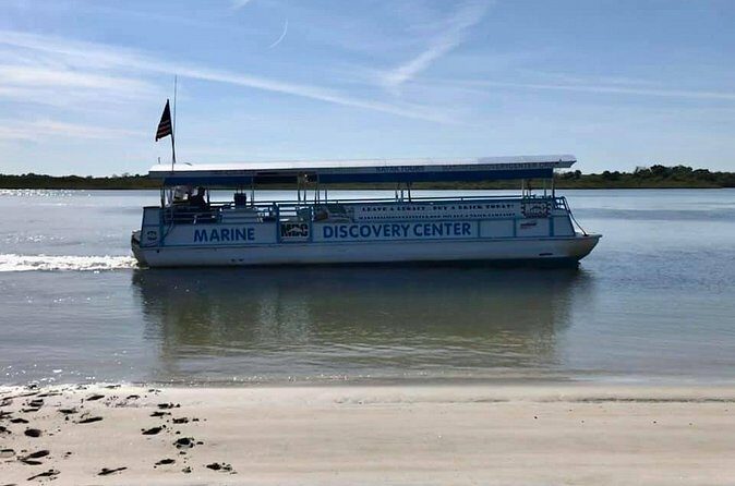Discovery Dolphin Boat Tour - The Balance of Pros and Cons
