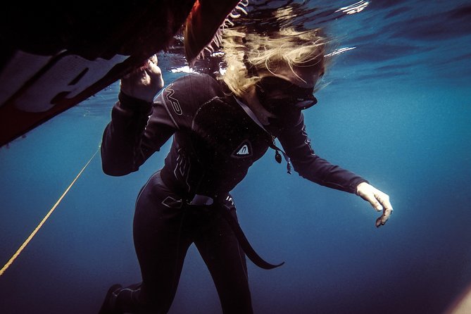 Discovery Freediving Program - Included Activities