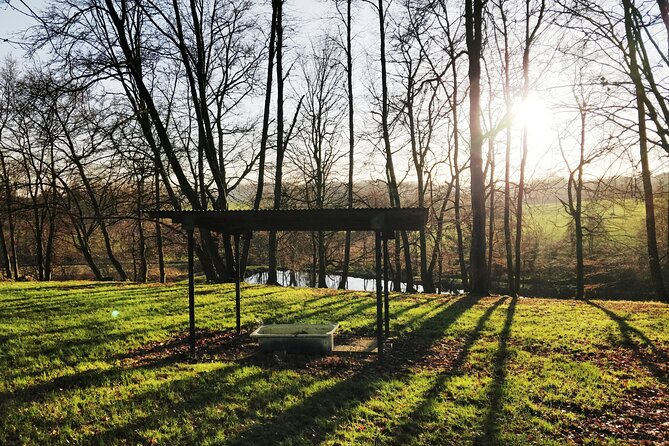 Discovery Hike and Tasting in the Heart of a Natural Park - Savoring Local Delicacies