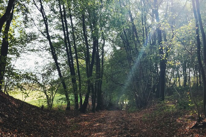 Discovery Hike and Tasting in the Heart of a Natural Park - Meeting Point and Logistics