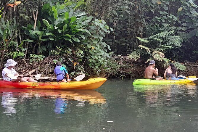 Discovery in Kayaking of the Faaroa River in Raiatea - Exploring the Faaroa River Kayaking Tour: A Genuine Slice of Raiatea