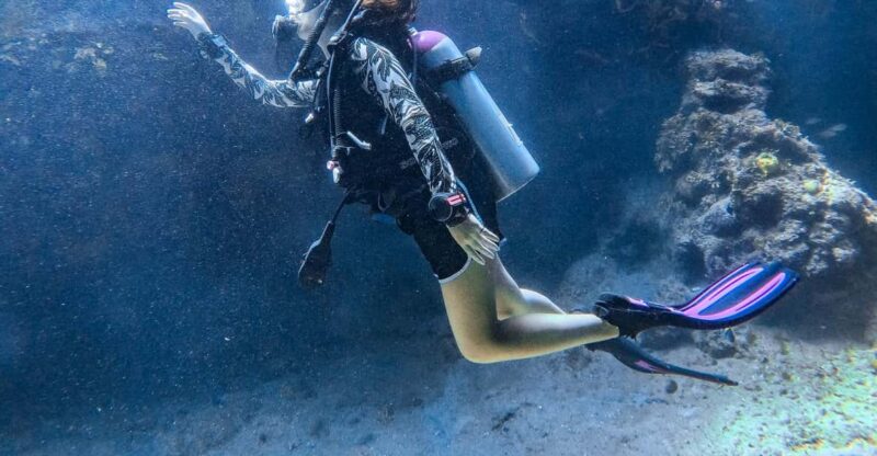 Discovery Local Diving - Double Diving | Customized - Key Points