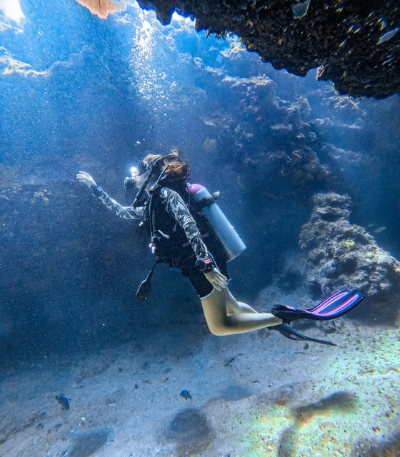 Discovery Local Diving - Double Diving | Customized - Transportation and Pickup Details