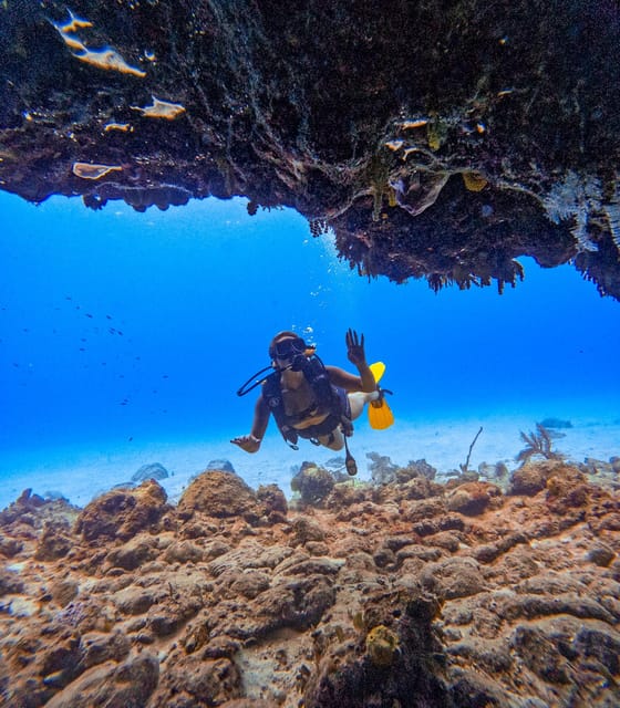 Discovery Local Diving - Double Diving | Customized - Requirements and Recommendations