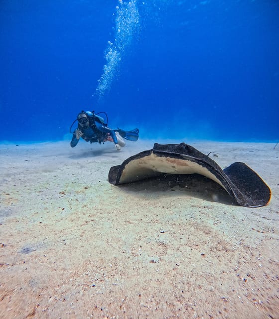 Discovery Local Diving - Double Diving | Customized - What to Bring