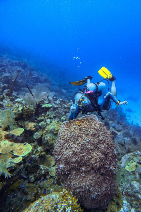 Discovery Local Diving - Double Diving | Customized - Contact for More Information