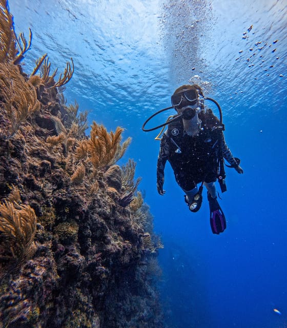 Discovery Local Diving - Double Diving | Customized - Frequently Asked Questions