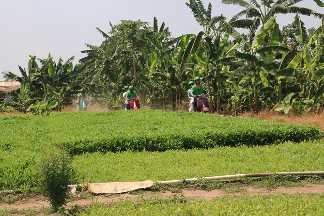 Discovery Mekong Delta and Rural Villages 5 Hours - Exploring the Mekong Delta