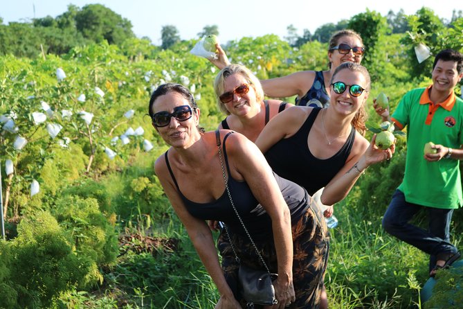 Discovery Mekong Delta and Rural Villages 5 Hours - Professional Guides and Transportation