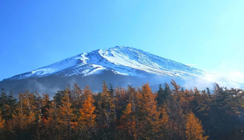 Discovery More Private Trip to Mt. Fuji With English Driver - Highlights of the Day