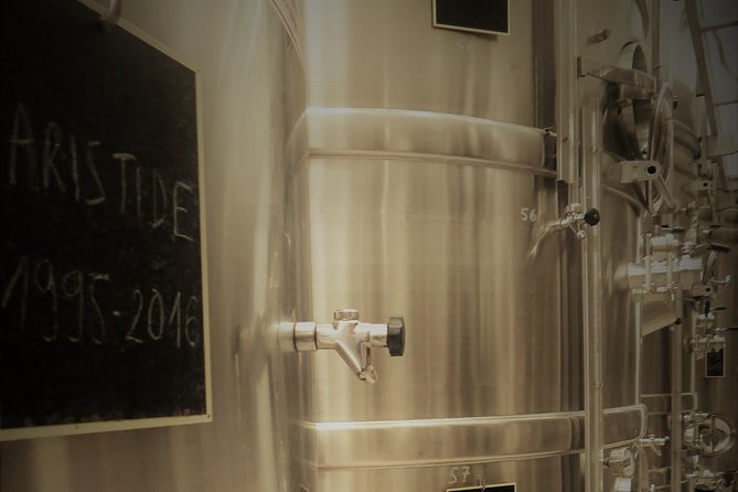 Discovery of a Champagne From Vintner, From the Cellar to the Tasting - Tasting Experience Overview