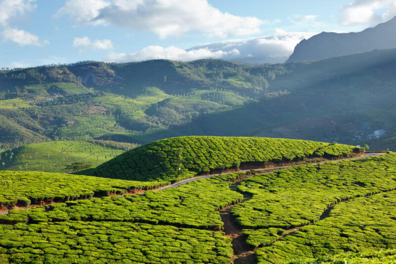 DISCOVERY OF KERALA_07 DAYS - Guided Activities and Assistance
