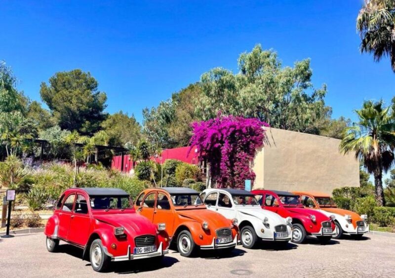 Discovery of Provence in 2CV - Conquering the Mont-Ventoux
