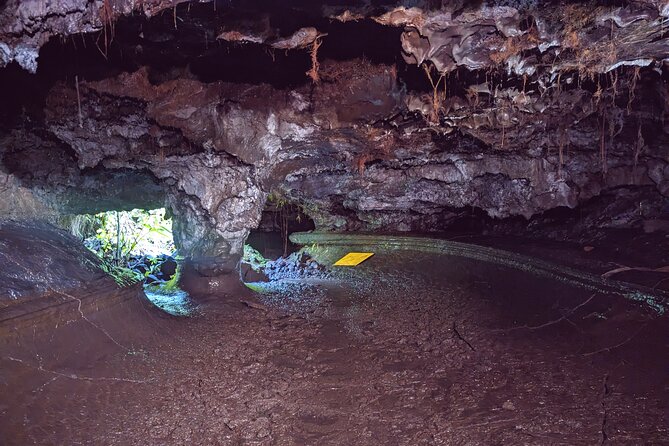 Discovery of the Lava Tubes 2004 of Piton De La Fournaise - Cancellation Policy