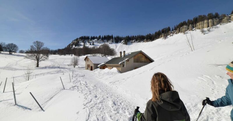 Discovery of the Snowy Vercors in Snowshoes - Discovering the Local Fauna