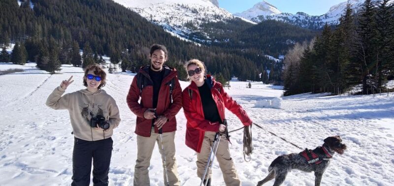 Discovery of the Snowy Vercors in Snowshoes - Witnessing the Winter Transformation