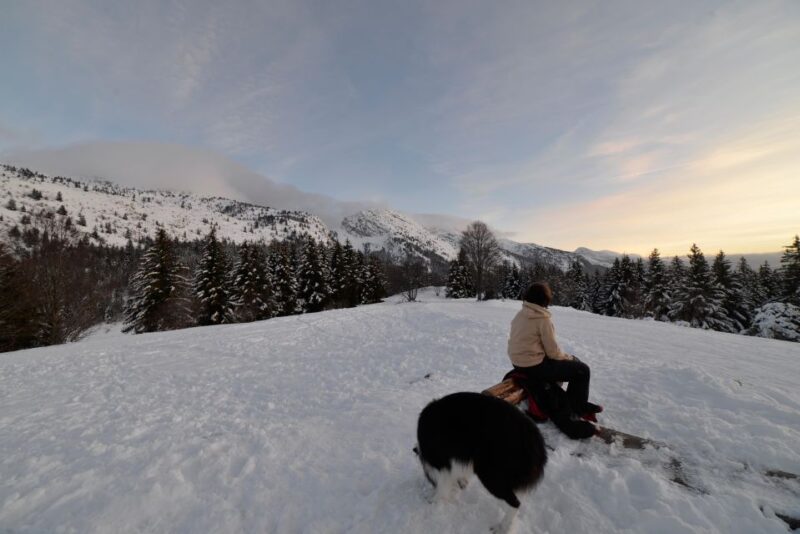 Discovery of the Snowy Vercors in Snowshoes - Honing Your Snowshoeing Skills