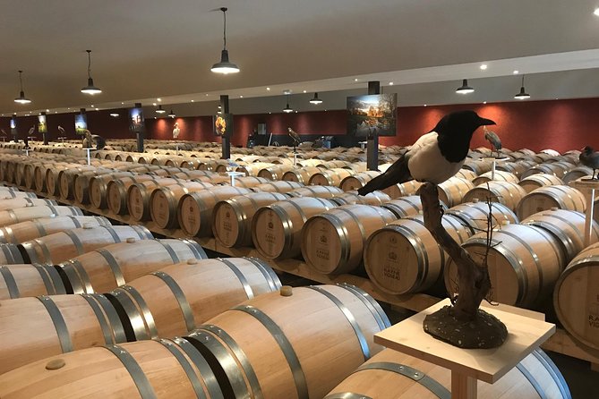 Discovery of the Vineyards and Castles of Sauternes by Bike - Capturing the Stunning Landscapes