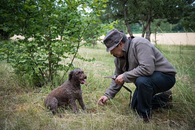 Discovery of the World of Truffles and Tasting - Tasting of Truffle Products