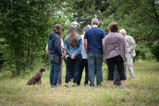 Discovery of the World of Truffles and Tasting - Logistics and Participant Information
