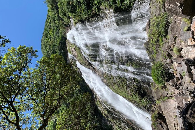 Discovery of Yakushima - Booking and Confirmation Process