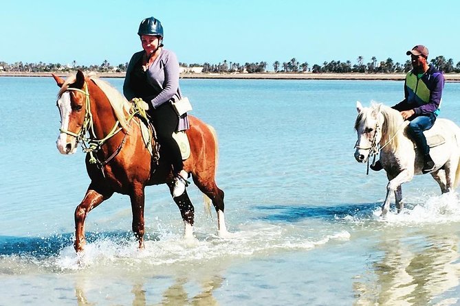 Discovery Ride on Horseback or Camel 2h30 - Pickup and Meeting Point