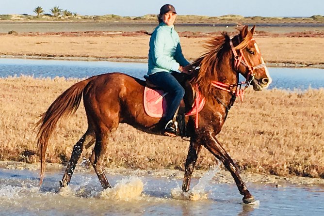 Discovery Ride on Horseback or Camel 2h30 - Tour Details