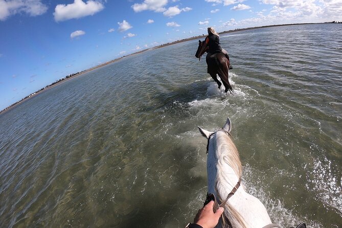 Discovery Ride on Horseback or Camel 2h30 - Cancellation Policy