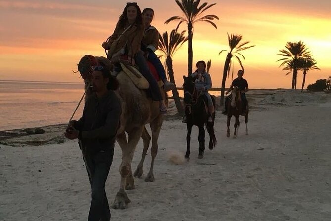 Discovery Ride on Horseback or Camel 2h30 - Accessibility and Transportation