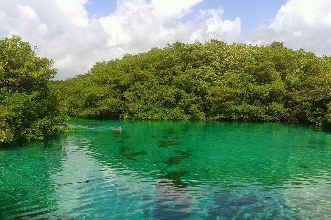 Discovery Scuba Diving - Diving Certification