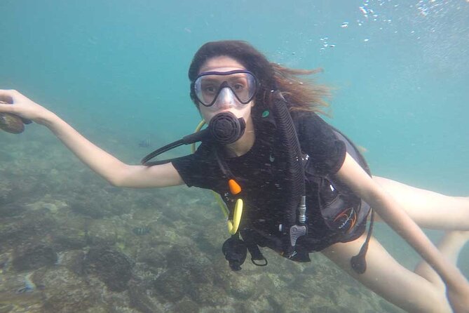 Discovery Scuba Diving in Dubai - Group Size and Cancellation