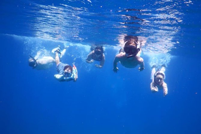 Discovery Scuba Diving & Snorkeling at Nha Trang Bay - Included Equipment and Accessibility