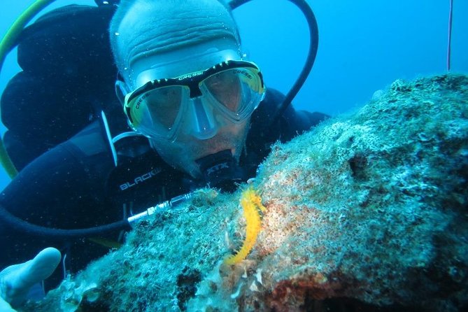 Discovery Scuba Diving Taormina & Isola Bella - Accessibility and Transportation Information