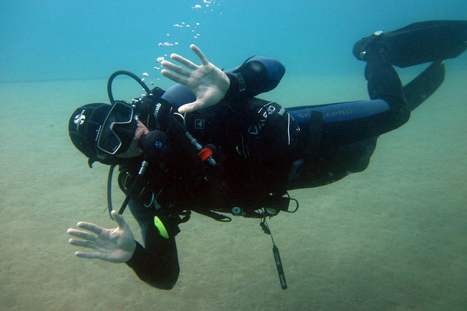 Discovery Scuba Diving Taormina & Isola Bella - Group Size and Capacity