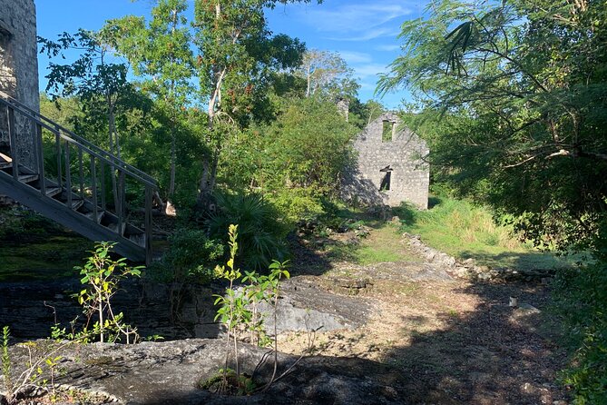 Discovery Tour and Treasure Hunt ( North and Middle Caicos) - Tour Experience