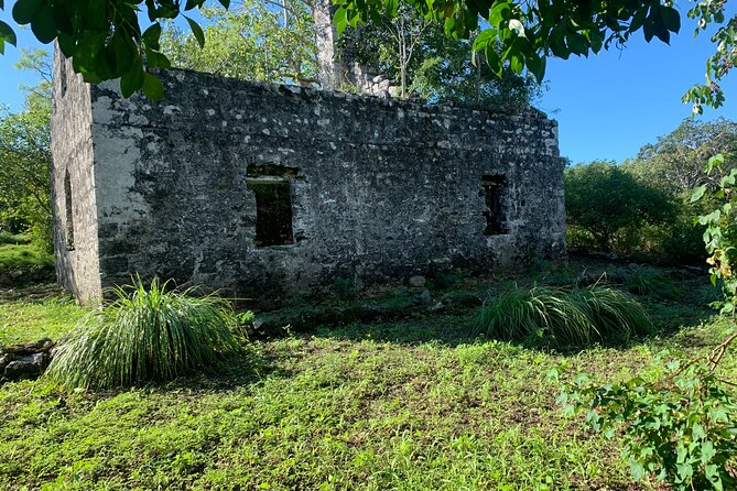 Discovery Tour and Treasure Hunt ( North and Middle Caicos) - Safety and Recommendations