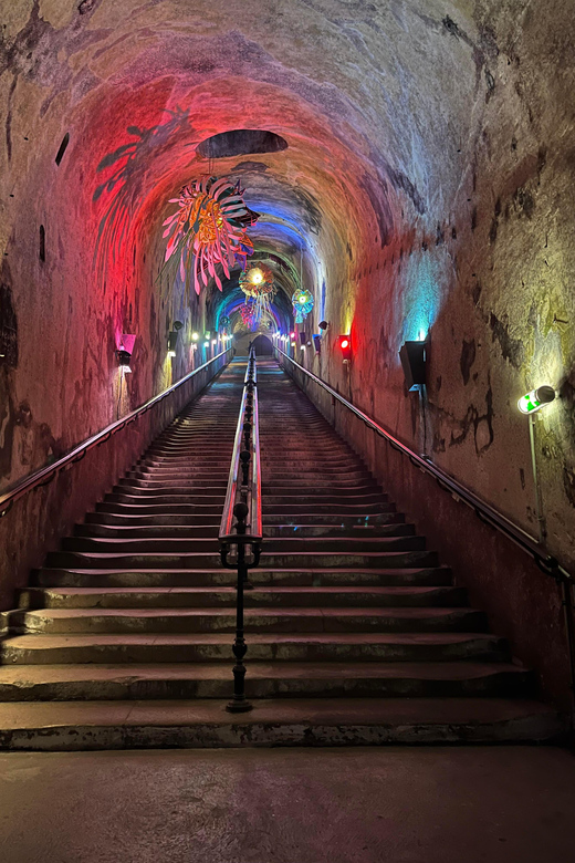 Discovery Tour Reims and Epernay - Visit to Maison Veuve Clicquot or Maison Pommery