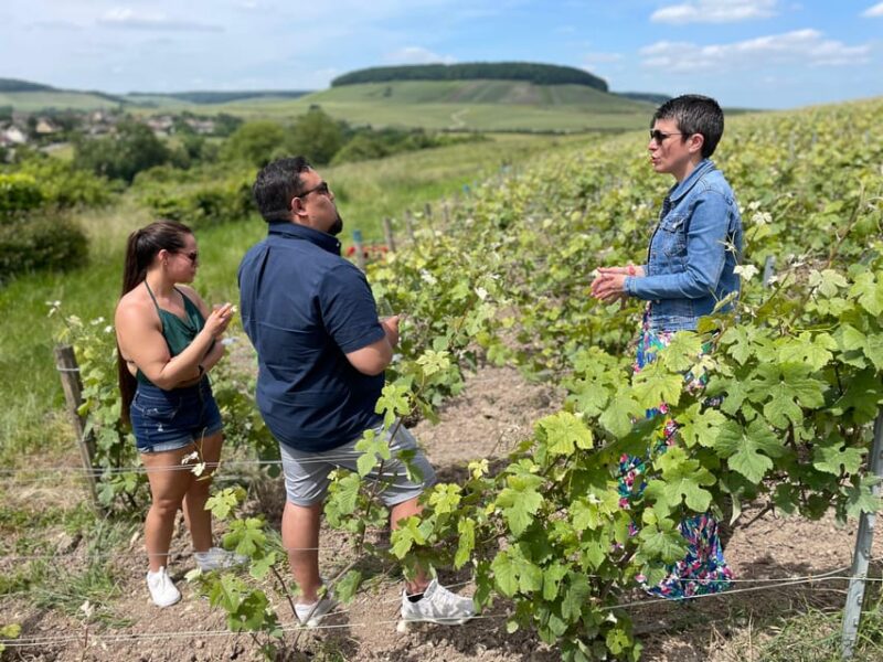 Discovery Tour Reims and Epernay - Self-guided Tour of Reims Cathedral