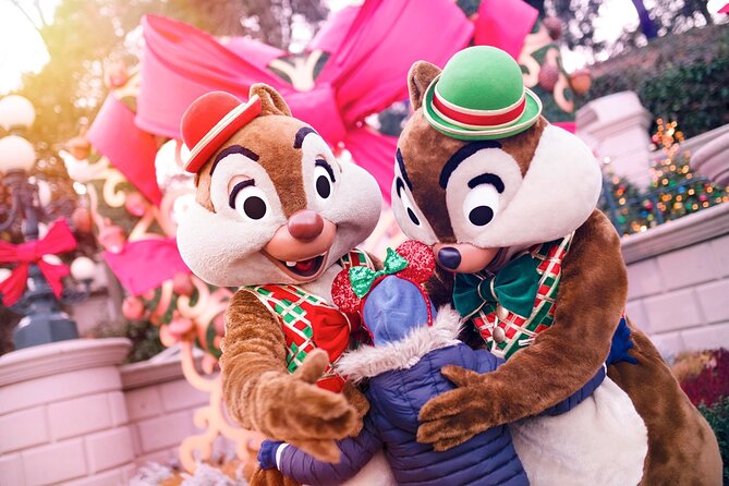 Disneyland® Paris 1 Day Ticket With Transport From Paris - Transportation Details From Paris
