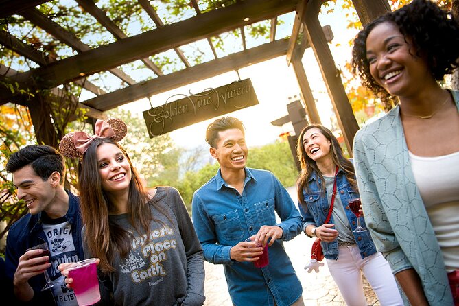 Disneyland Resort Tickets - Exploring New Attractions