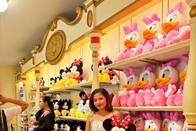 Disneyland Theme Park Tokyo Admission Ticket - Reviews and Feedback