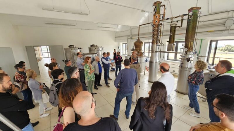 Distilleria Alma- Rum Distilery Guided Tour & Tasting - Experience the First Rum Distillery in Italy