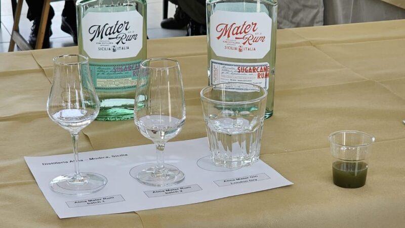 Distilleria Alma- Rum Distilery Guided Tour & Tasting - Accessibility for All Visitors