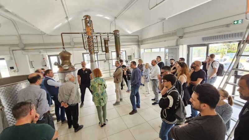 Distilleria Alma- Rum Distilery Guided Tour & Tasting - Customer Reviews and Feedback